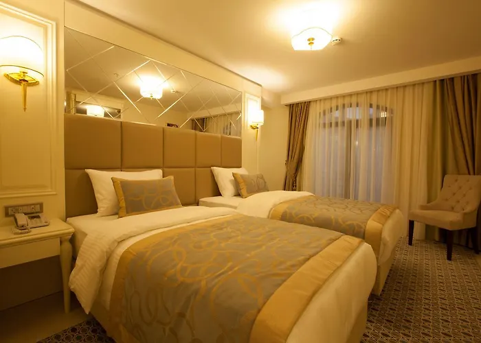 Beethoven Hotel - Special Category